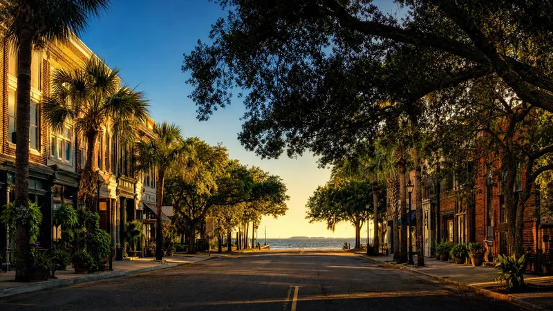 A Tampa Bay area main street with brick storefronts and oaks, Pasco County Business License